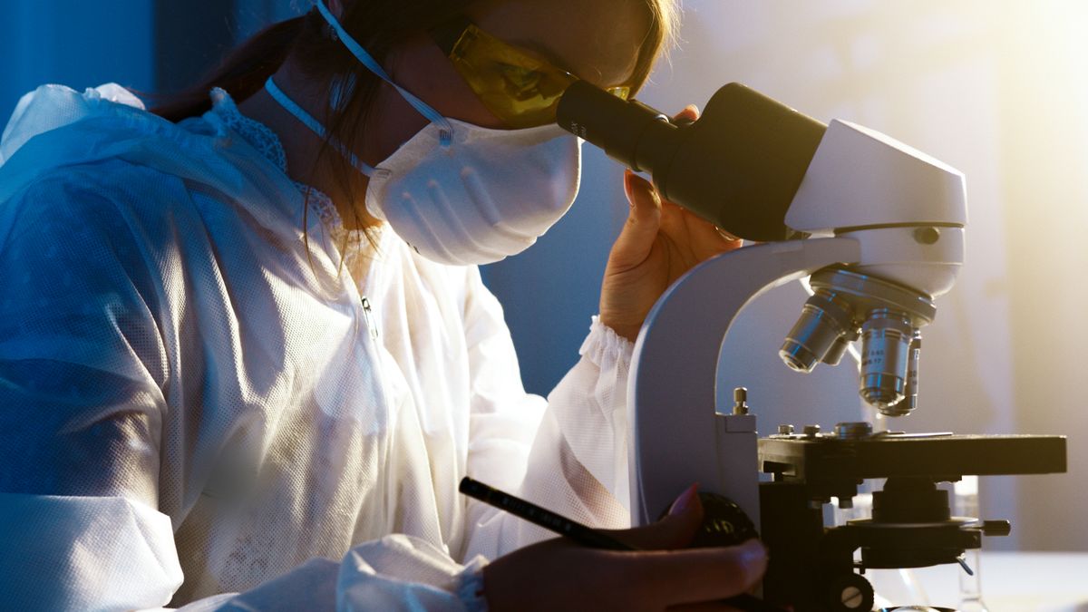 Perche Le Sperimentazioni Necessitano Vera Traduzione